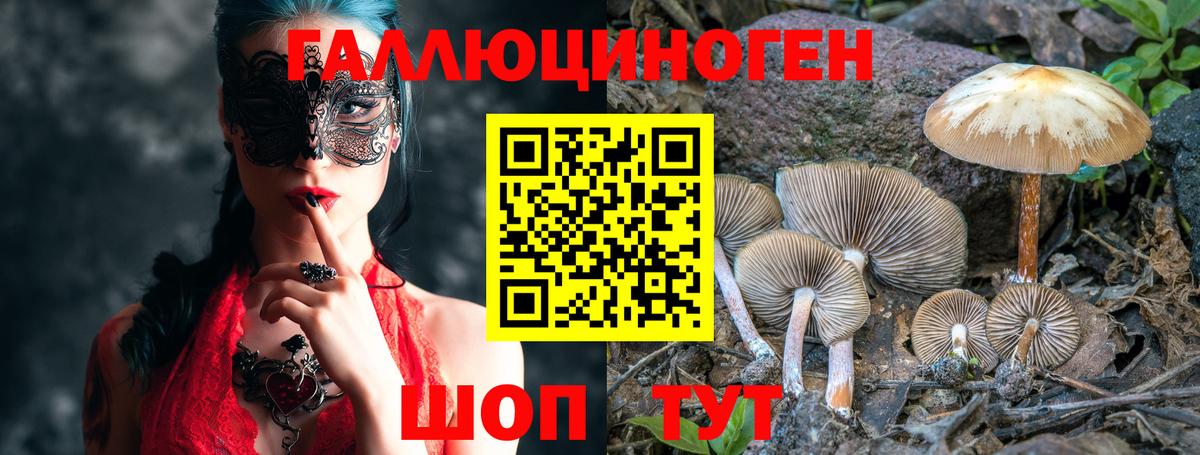 Псилоцибиновые грибы GOLDEN TEACHER Кыштым