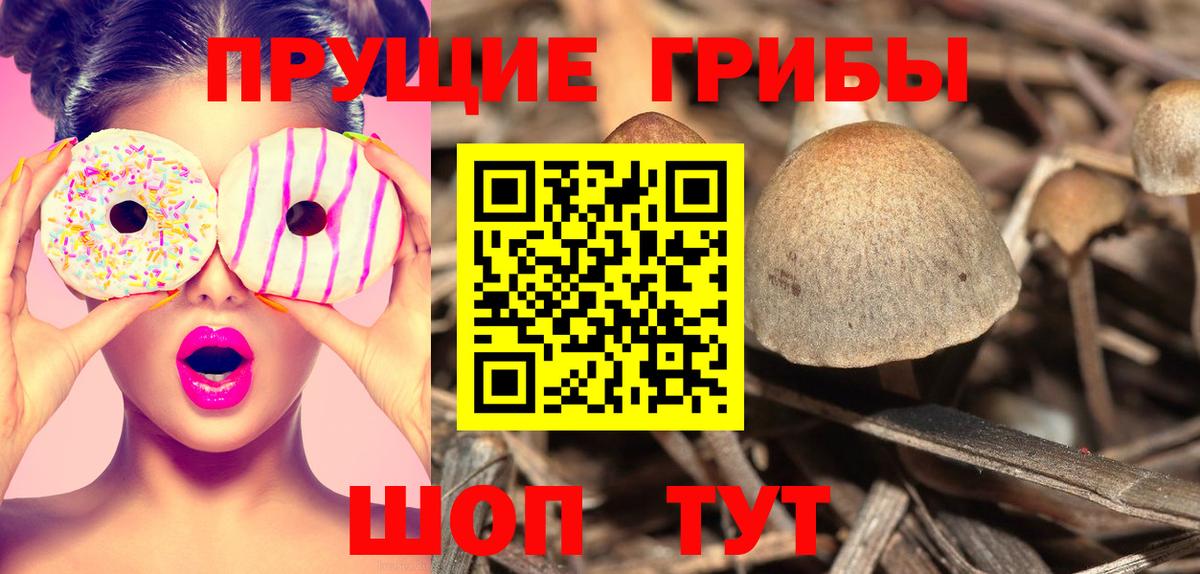 АМФЕТАМИН кристаллы  Вход с VPN  COCAIN  МЕФ кристаллы  Кыштым  ГАШ 